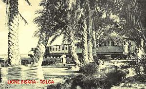 Biskra - Tolga 